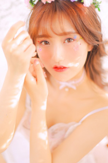 忘却的狐狸动画片